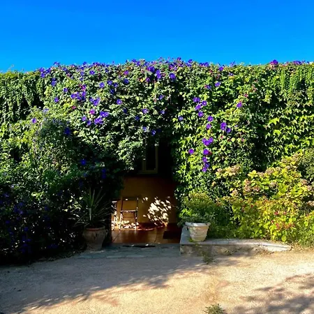 فيلة Catalina *