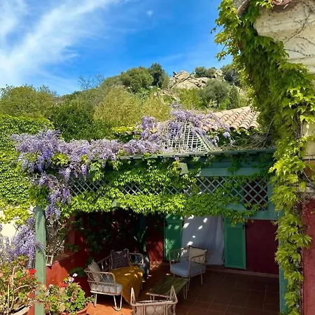 Catalina *